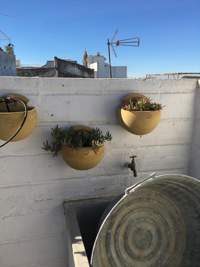 Casa Leon Blanco Carmona Reformada Centrica Con Chimenea Y Terraza Con Vistas Villa Exterior foto
